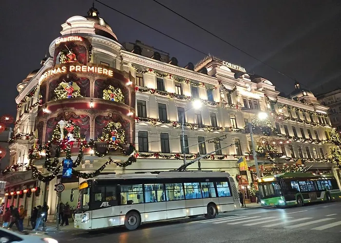 Central! Work Friendly & 2x2m Bed Bucureşti